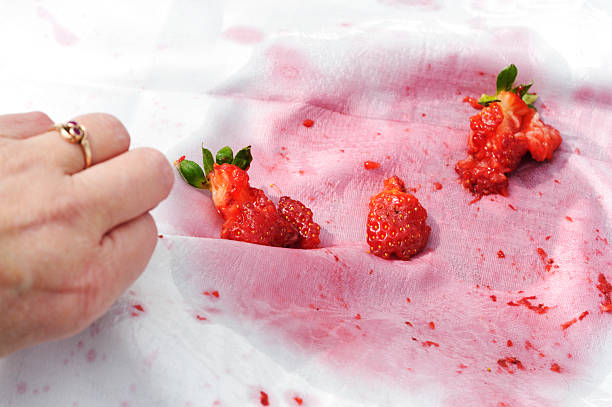 Fruit Stain Removal